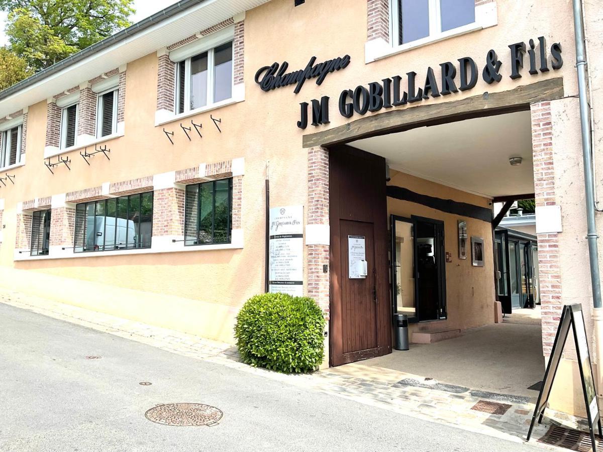 Les Loges Du Theatre Degustation Champagne Offerte Jacuzzi Sauna Jeux Velos Maison Prive 150M2 Historique 14Pers Max Emplacement Exceptionnel Et Chic, 200M De L'Avenue De Champagne, Gare, Musee, Jardins, Restaurations, Toutes Commodites 에페르네이 외부 사진