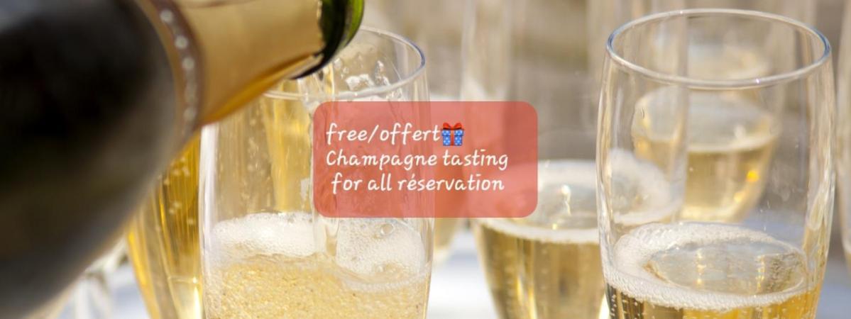Les Loges Du Theatre Degustation Champagne Offerte Jacuzzi Sauna Jeux Velos Maison Prive 150M2 Historique 14Pers Max Emplacement Exceptionnel Et Chic, 200M De L'Avenue De Champagne, Gare, Musee, Jardins, Restaurations, Toutes Commodites 에페르네이 외부 사진