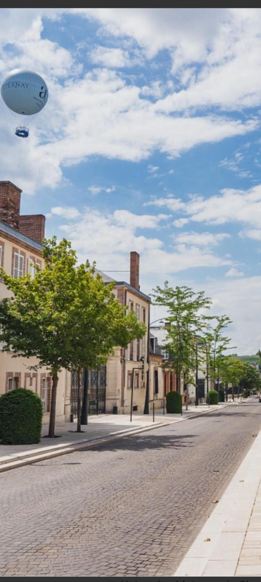 Les Loges Du Theatre Degustation Champagne Offerte Jacuzzi Sauna Jeux Velos Maison Prive 150M2 Historique 14Pers Max Emplacement Exceptionnel Et Chic, 200M De L'Avenue De Champagne, Gare, Musee, Jardins, Restaurations, Toutes Commodites 에페르네이 외부 사진
